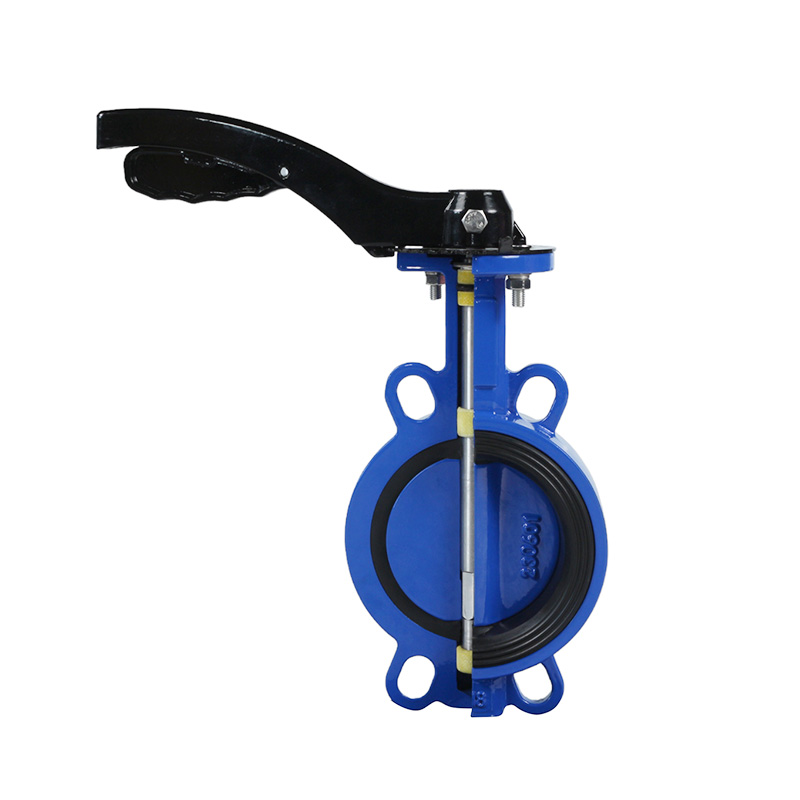 anatomy diagram butterfly valve