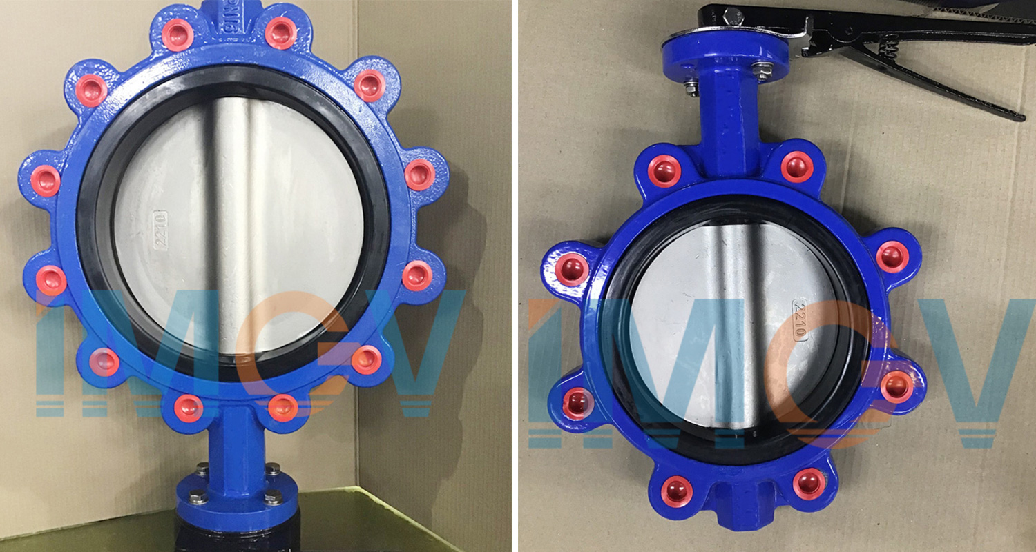 Lug-Butterfly-Valve-6.jpg